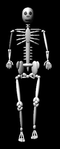 [JPEG Image]