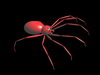 [PNG Image]
